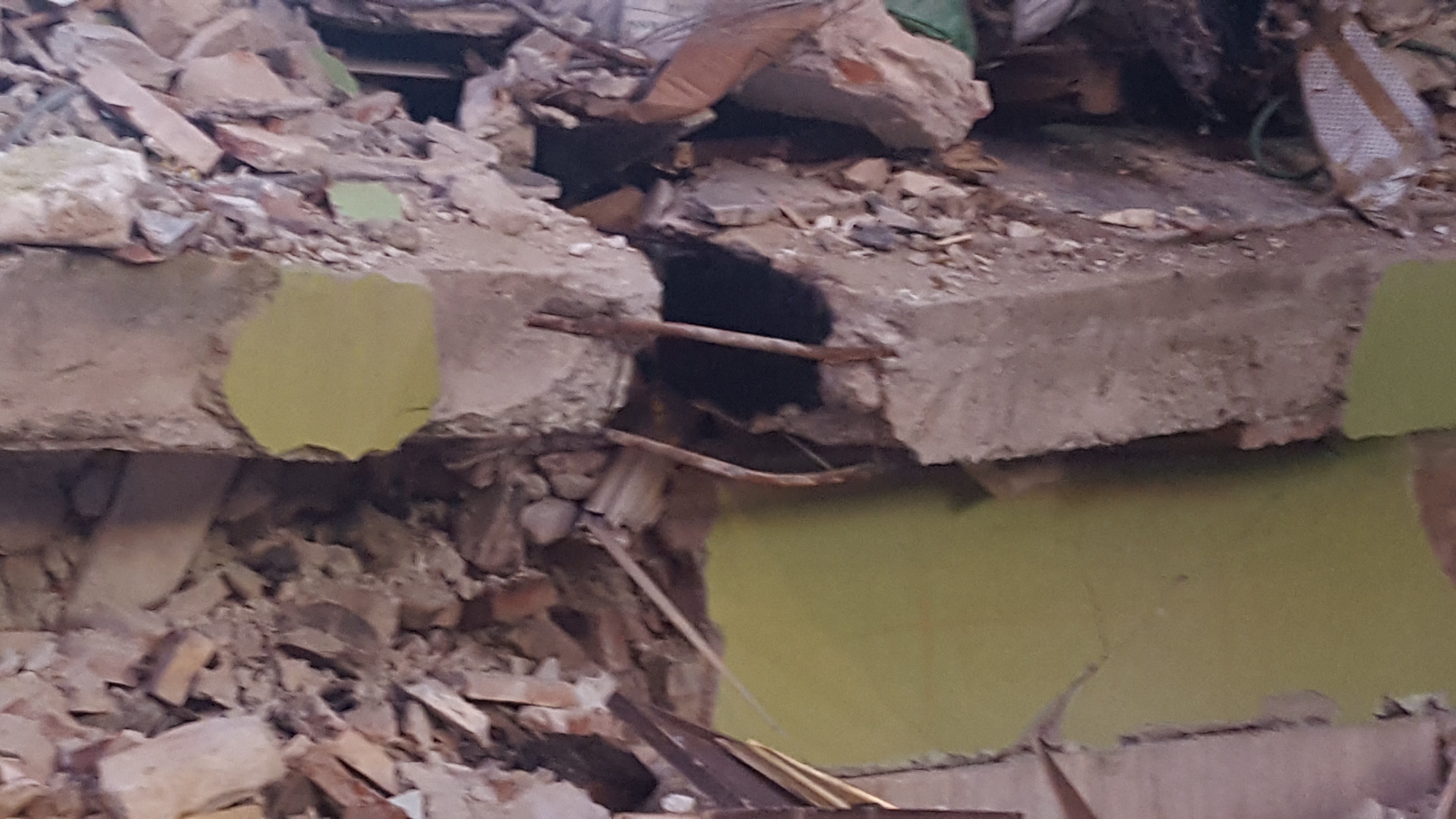 Crollo edificio Amatrice